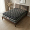 Spine Comfort Plush Mattress
