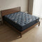 Bella (Tight Top) Mattress