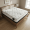 Ortho Care (Both side T Top) (608 Coil) Mattress
