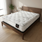 Ortho Care (608 Coil) (one side T Top) Mattress