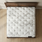Ortho Care (608 Coil) (one side T Top) Mattress